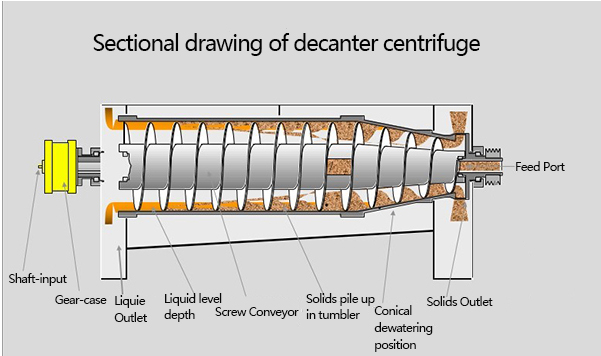 Decanter centrifuge